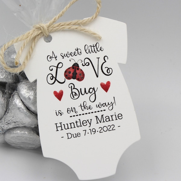 LadyBug Baby Shower Favor | Love Bug Baby Shower Favor | Girl Baby Shower | Ladybug Baby Shower  | A sweet little Love Bug is on the way