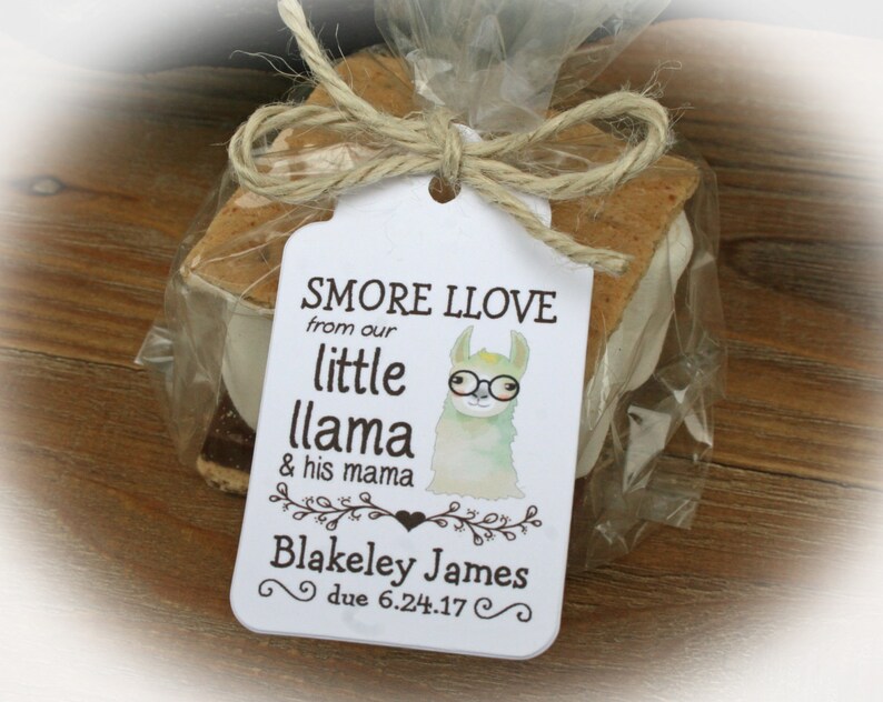 Llama Baby Shower Favors Diy Little Llama Baby Shower Etsy