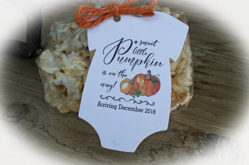 Fall Baby Shower Favor Pumpkin Baby Shower Favor Tags Only Etsy