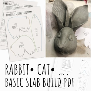 Modello in ceramica modello Rabbit Cat Squirl per la costruzione di lastre di tassidermia di teste di roditori