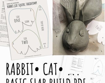 Rabbit Cat Squirl template pottery pattern for slab building rodent heads taxidermy