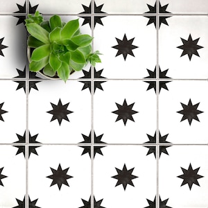 May include: Black and white star-shaped tile pattern. The tiles are arranged in a grid pattern. A small green succulent plant is in a pot on top of the tiles.