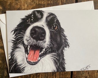 Puede incluir: Un perro border collie blanco y negro con una expresión feliz, mirando directamente al espectador. El perro tiene la lengua rosa fuera y sus ojos están bien abiertos.