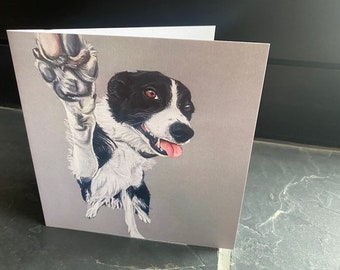 Border collie card