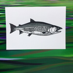 Coho Greeting Cards - Lot de 6 - 10 x 15 cm (10 x 15 cm) - Presse lettre - sur Heidelberg - Papier Strathmore - Enveloppes - par The Fish Mill