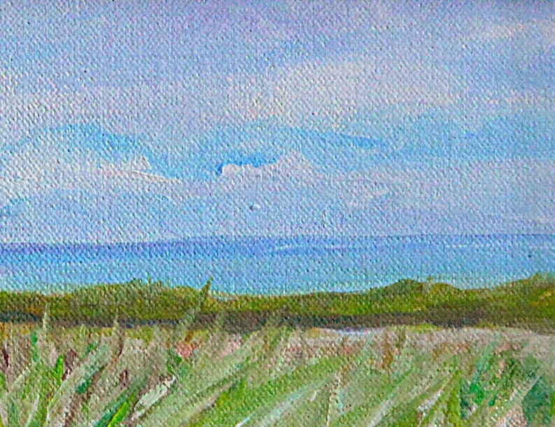8 x 10 Pacific Palisades Small Painting Rotsen Landscape CA Original Oil Painting on Canvas by L Morning in Bluffs Bike Park