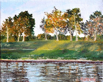 Original Oil Painting of Balboa Lake, CA - Palette Knife, 8" x 10" Small Oil Painting Unframed, Wall Art Decor