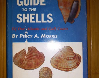 Vintage 1951 Roger Tory Peterson's Field Guide to Atlantic & Gulf Coast Shells