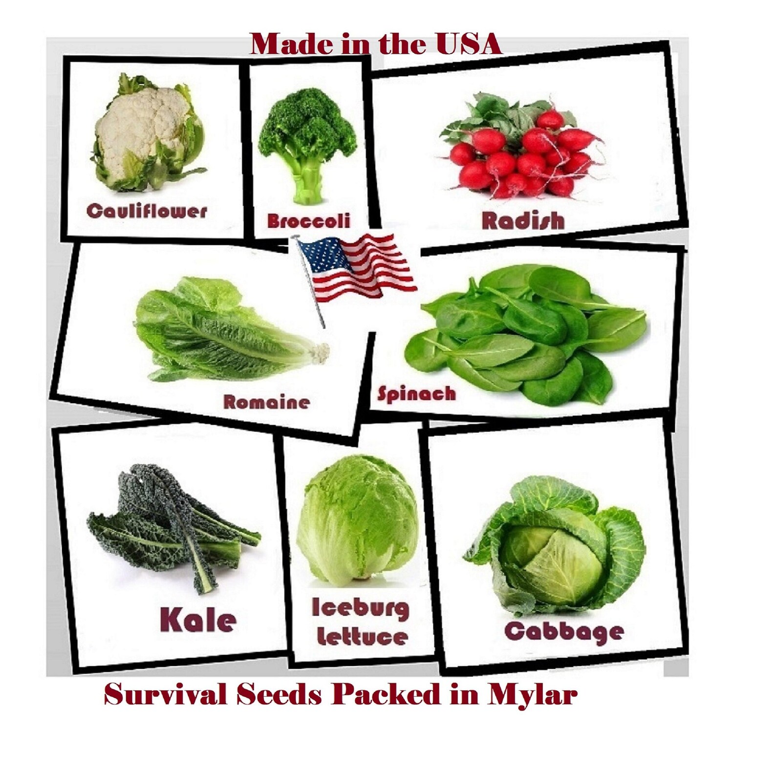 Heirloom Vegetable Seeds Full Size Seed Packsnon GMO Easy to Grow Variety of Vegetable