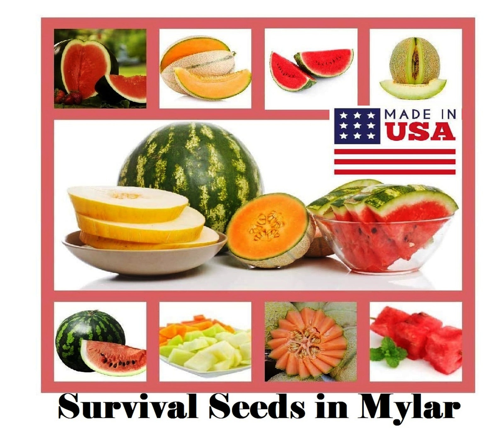 Heirloom Fruit Seeds Variety of Fruit Seeds, Honeydew Green Melon