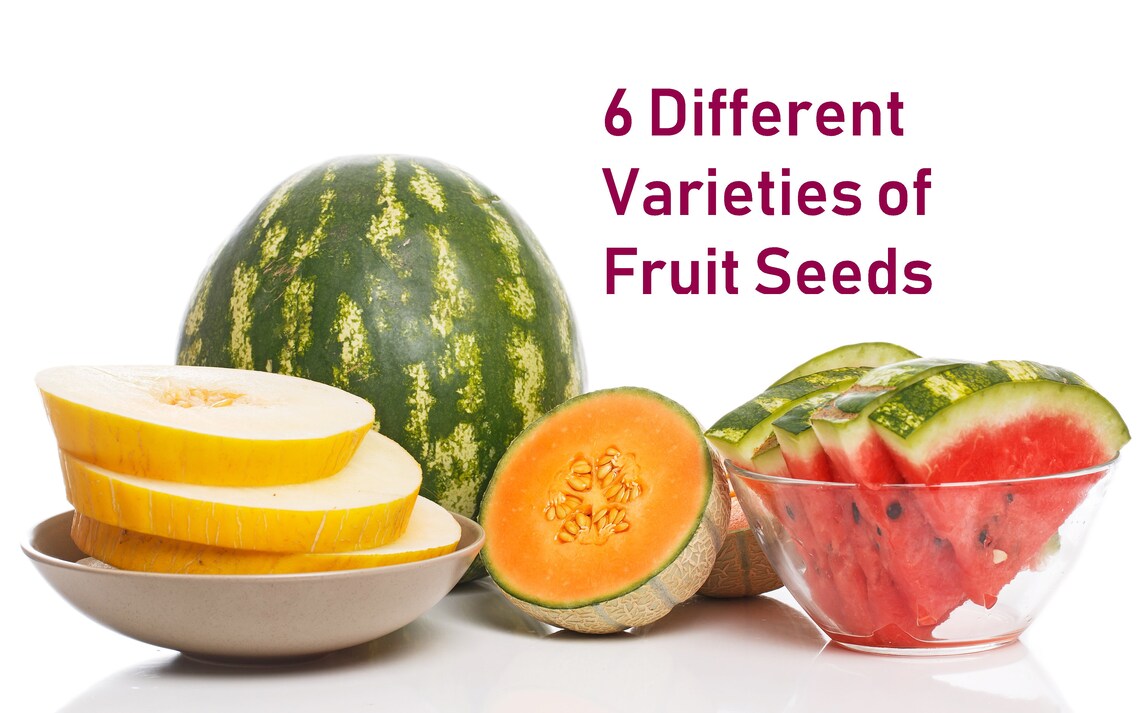 Heirloom Fruit Seeds Variety of Fruit Seeds, Honeydew Green Melon