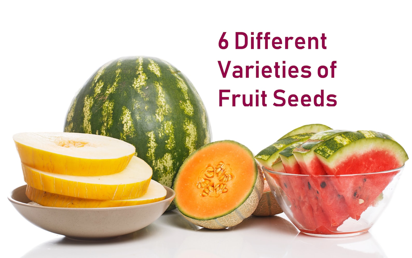 Heirloom Fruit Seeds Variety of Fruit Seeds, Honeydew Green Melon