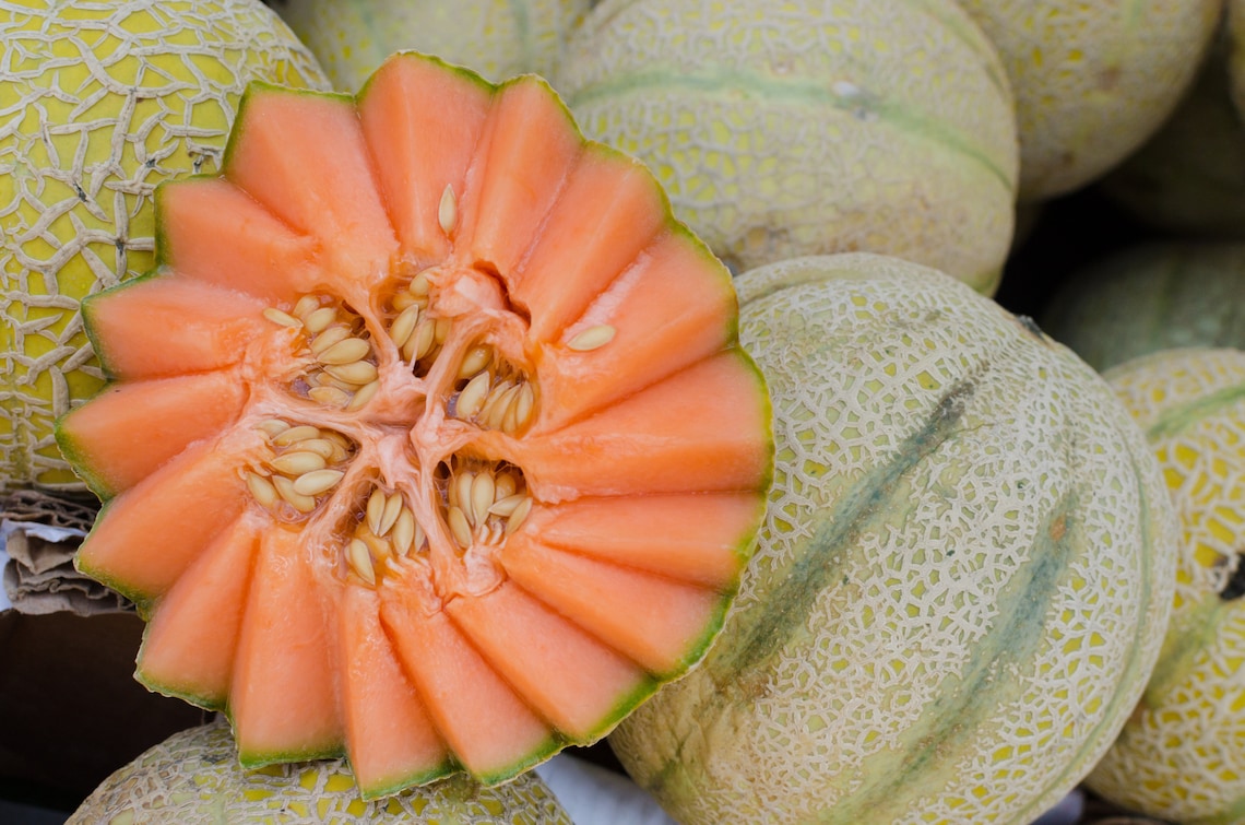 Heirloom Fruit Seeds Non Hybrid Real Survival Seeds. 6 Different Types