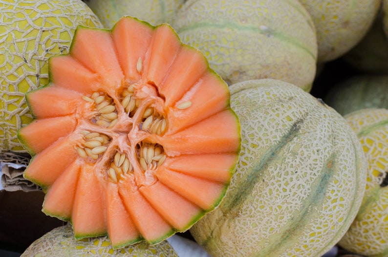 Heirloom Fruit Seeds Non Hybrid Real Survival Seeds. 6 Different Types