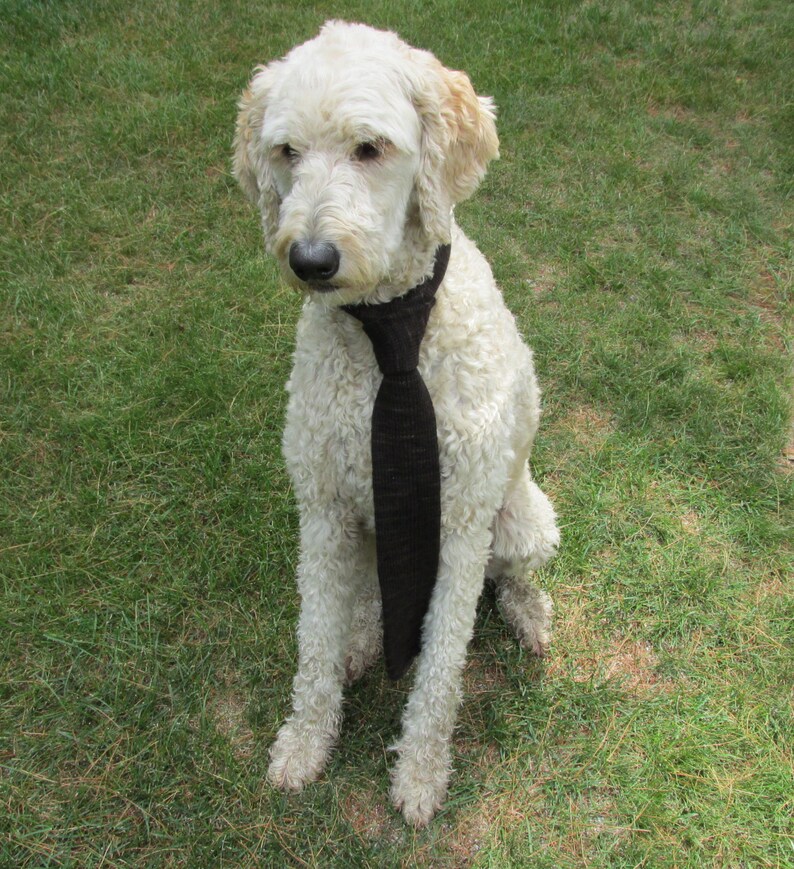 Hand Knit Merino Wool Necktie Etsy