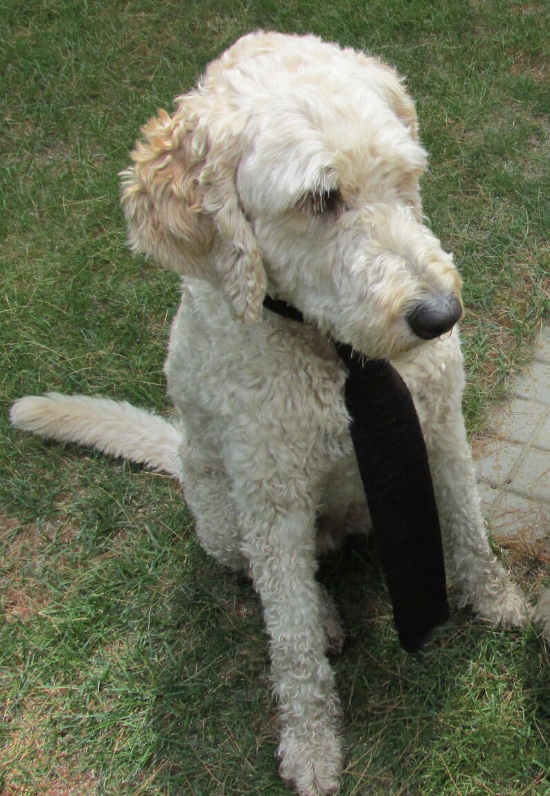 Hand Knit Merino Wool Necktie Etsy