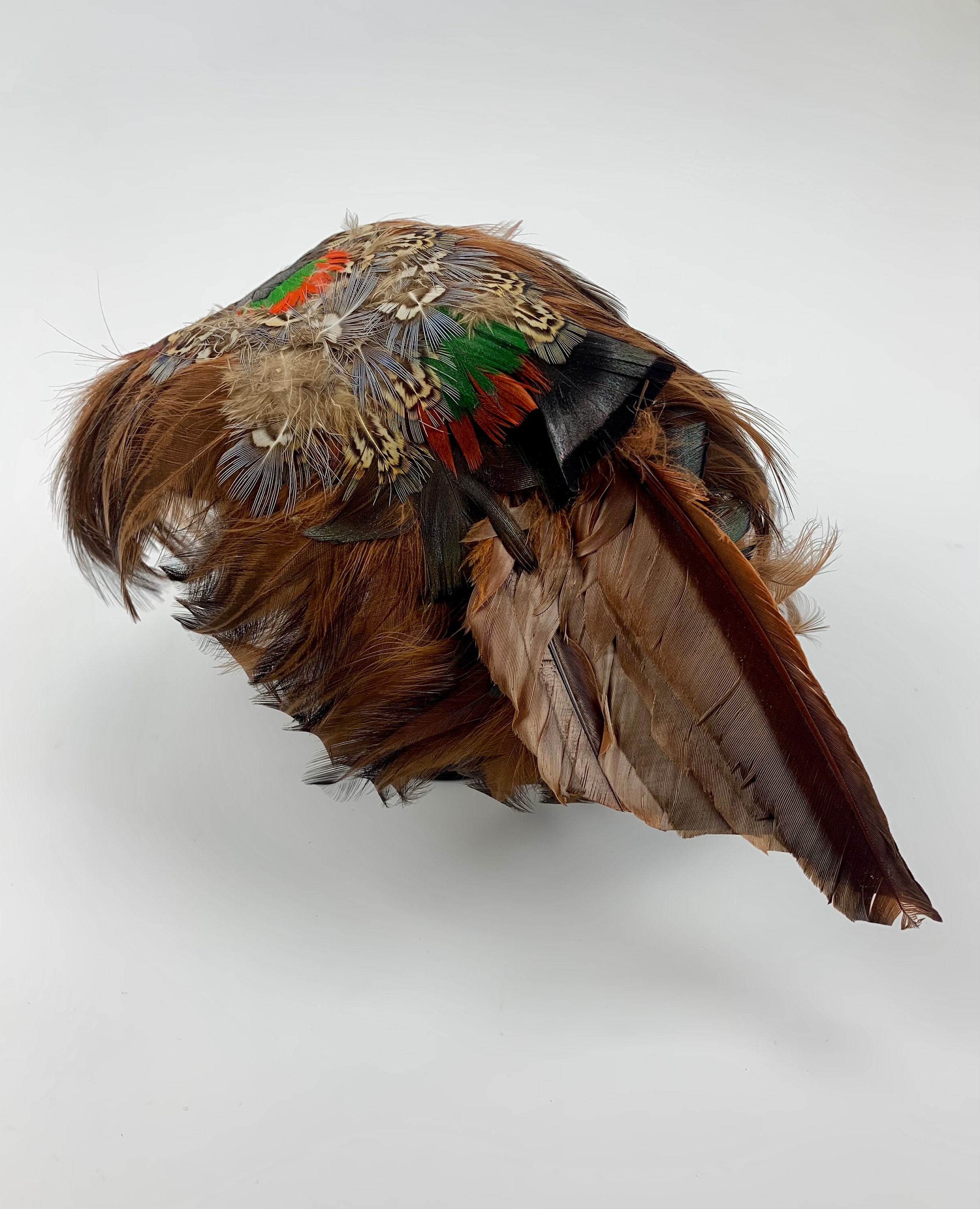 50s/60s Iridescent Pheasant Feather Toque/Tilt Hat | 100% Wool | Size 6 3/4 EUC! 1950s Pheasant Hat - Etsy main image 4