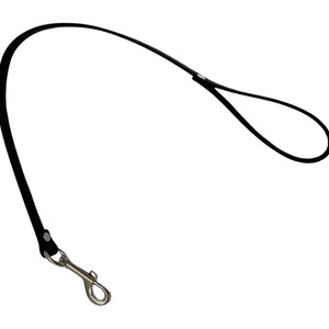 2'  Leather Leash