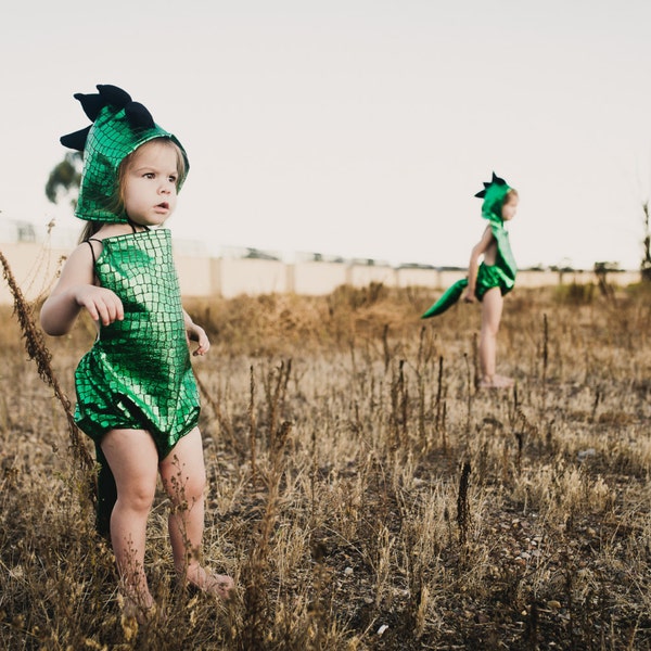 Dinosaur Romper - dinosaur costume - dinosaur  - dinosaur birthday outfits - storybook - halloween