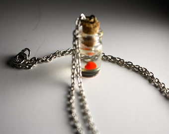 Heart in a bottle Necklace