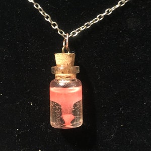Poe in a bottle necklace (Glows in the dark)