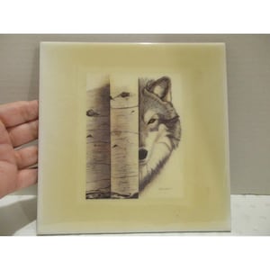 May include: A square ceramic tile featuring a detailed illustration of a wolf peeking from behind a birch tree trunk. The artwork is rendered in shades of gray, black, and white, set against a soft, creamy off-white background border.