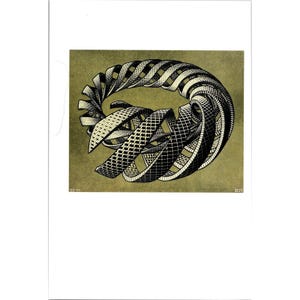 May include: Black and white graphic print of a complex, spiraling geometric shape on a muted olive green background. The artwork features intricate patterns and textures, creating a sense of depth and movement. The print is mounted on a white background.