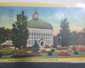 Postkarte - Wintergarten in Rose Gardens, Druld Hill Park, Baltimore MD VTG