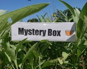 Mystery Box 5 pin mystery box