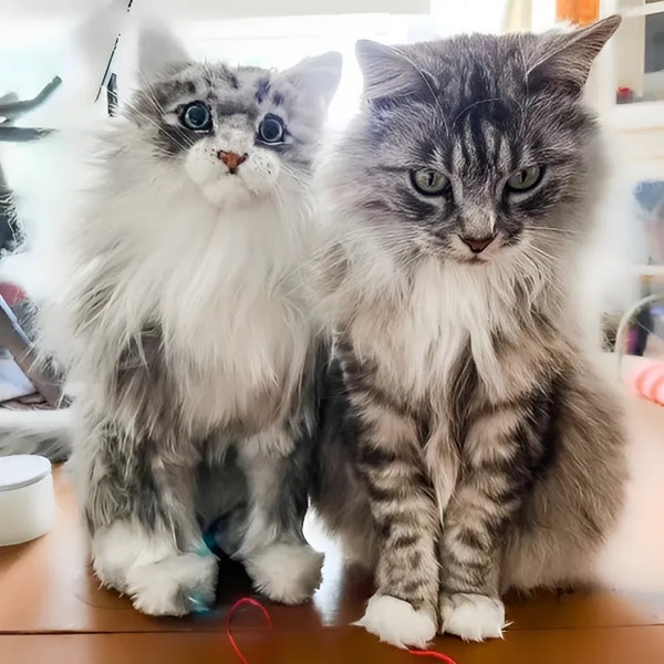 Custom Cat Plush, Personalized Stuffed Cats, Cat Stuffed Animals, Custom Cat Stuffed Animals