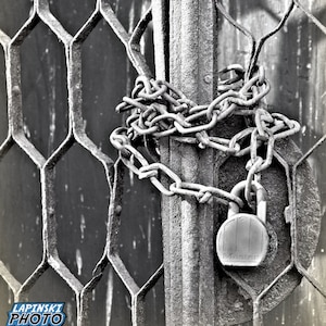 May include: A black and white photo of a rusty metal gate with a chain and padlock. The chain is wrapped around the gate post and the padlock is attached to the chain.