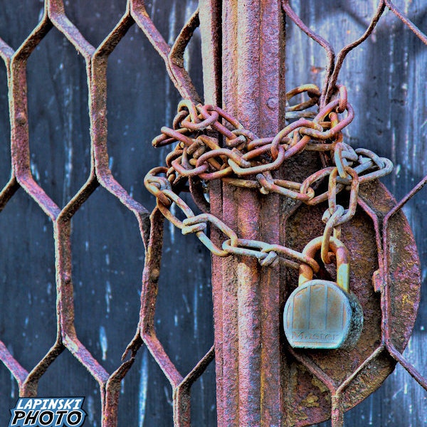 Locked Rusty Gate Photograph, Color Photography, Grunge Decor Print, Rustic Farmhouse, Old Weathered Lock and Chain, "Locked Up"