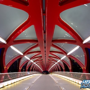 Calgary Photograph, Peace Bridge, Color Photography, Wall Art, Art Print, Canada Decor, Sci-Fi, Night Photo, &quot;Inner Peace&quot;