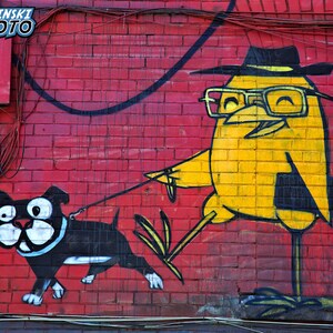Walk The Dog, Graffiti Photograph, Toronto Color Photography, Street Art, Wall Art, Art Print, Cartoon, Grunge Decor, "Walking My Dog #2"