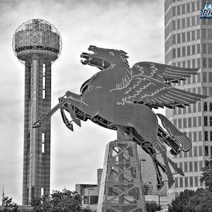 Downtown Dallas Photograph, Black and White Photography, Texas Art, Flying Horse Photo, Reunion Tower, Office Decor,  "Dallas Pegasus #1"