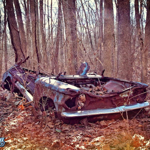 Abandoned Rusty Old Car Photograph, Color Photography, Wall Art, Art Print, Grunge, Rustic, In The Woods, "Crushed And Dying In The Dirt"