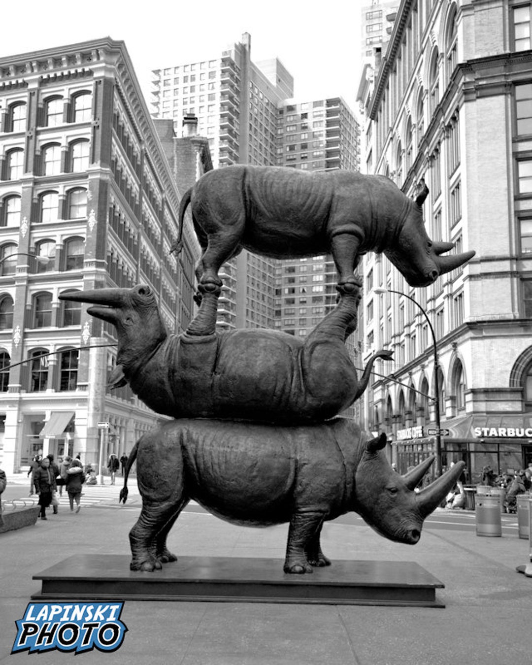 Rhino Statue Photograph Black and White Photography New York Etsy