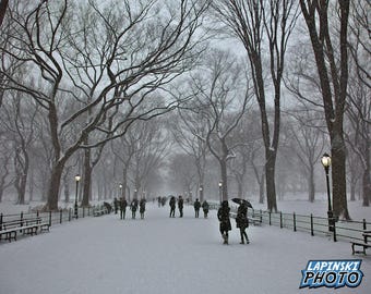 Central Park Winter Photograph, New York City, Color Photography, Wall Art, Art Print, Manhattan, Snow, The Mall, "Winter In Central Park"