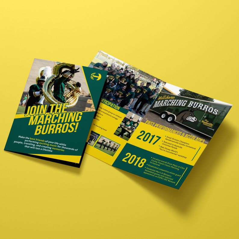 Brochures, Brochure Design Service, Business Brochure, Custom Brochure Design image 2