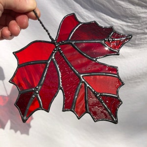 Glasmalerei AHORN BLATT Herbst Herbst Blätter rot Glas Sonnenfänger