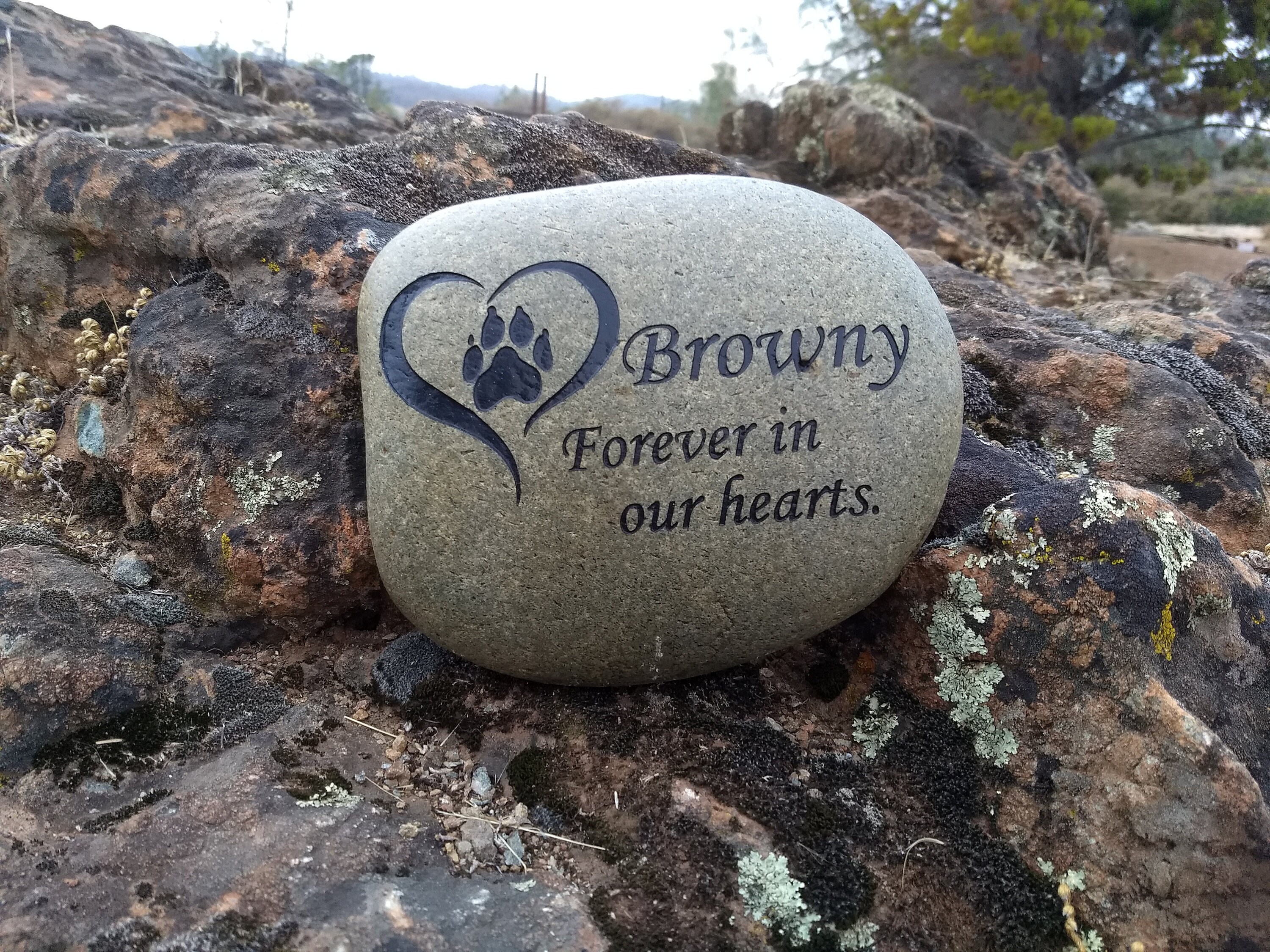 Pet Memorial Stone Personalized Tribute Etched Custom Etsy Australia
