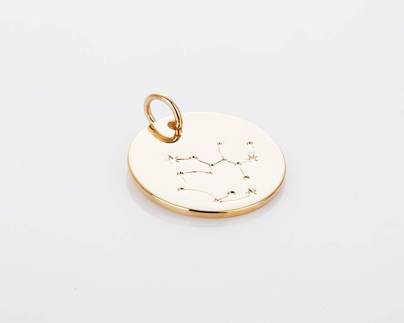 1PC Zodiac Coin Pendants Zodiac Charm Jewelry Making 14K Etsy