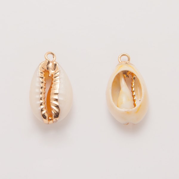 2PCS  - Natural Sea Shell - Cowrie Shell - Money Shell - Shell Bead - Seashell , cowrie Shell Charm, Polished Gold-Plated   [GJ0007]