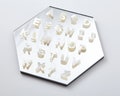 1 PC - Mother of Pearl initial Beads, White Mother Of Pearl Letter Beads, initial jewelry, white shell Charm, Raw mother of pearl [CB0151]