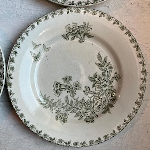 May include: A round ceramic plate with an off-white base and dark green transferware patterns. The rim features a repeating floral border, while the center displays a cluster of trumpet-shaped flowers, leaves, and three small butterflies.
