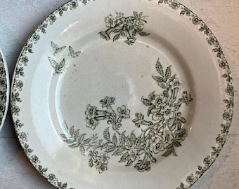 Antique French Ironstone Green Butterfly Plate "Denise" Pattern