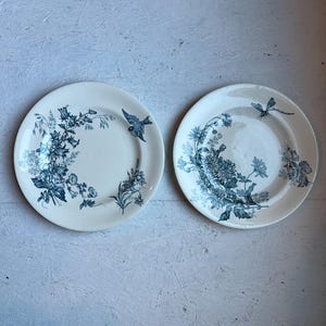 May include: Two round ceramic plates with a cream-colored base and dark blue floral patterns. The left plate features bell-shaped flowers and a small bird. The right plate displays chrysanthemum-like blossoms and a dragonfly motif.