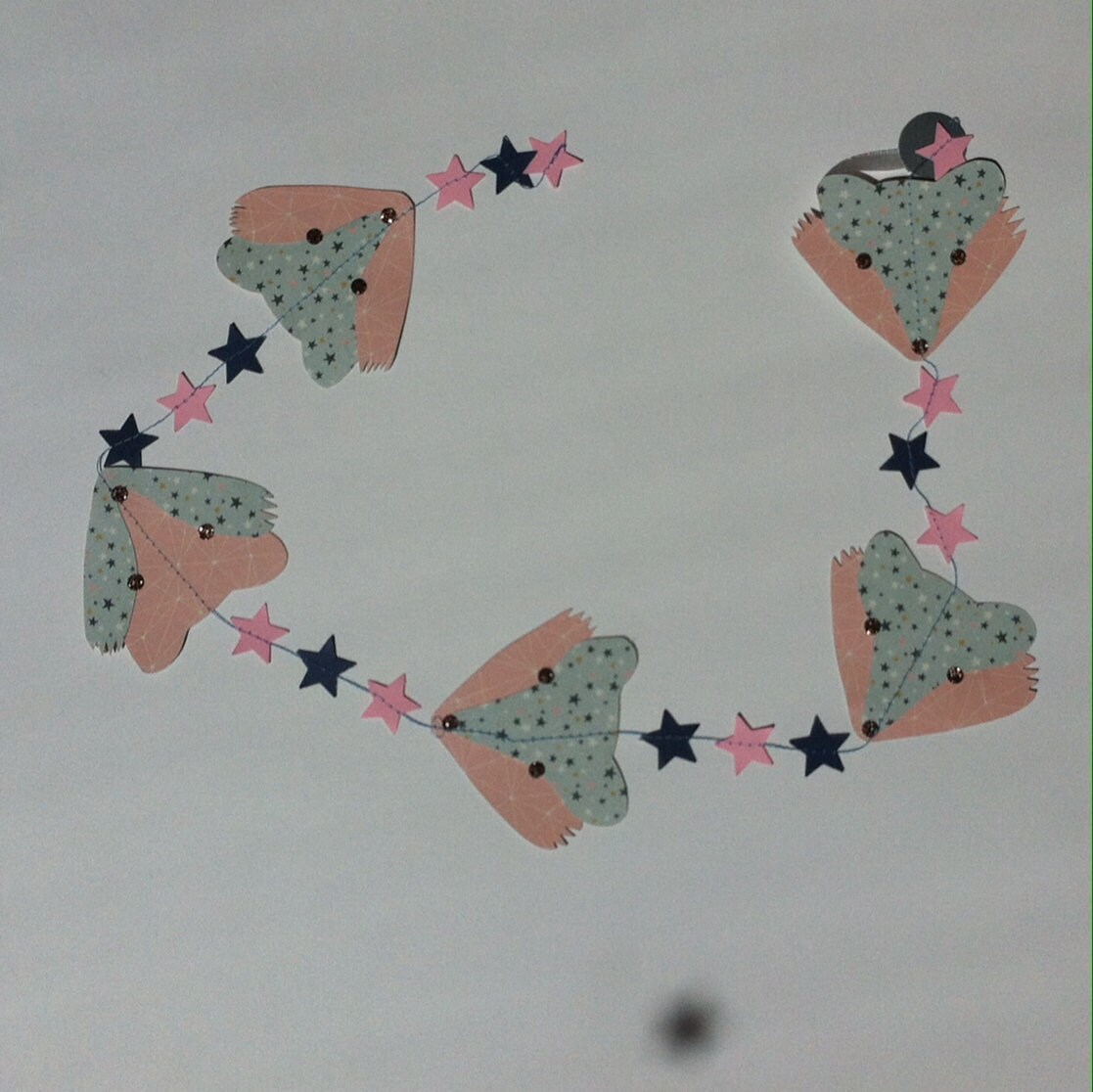 Guirlandes de Renards Malicieux