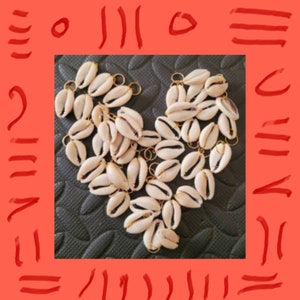 May include: A heart shape made of cowrie shells with gold rings. The shells are arranged in a heart shape on a black surface.