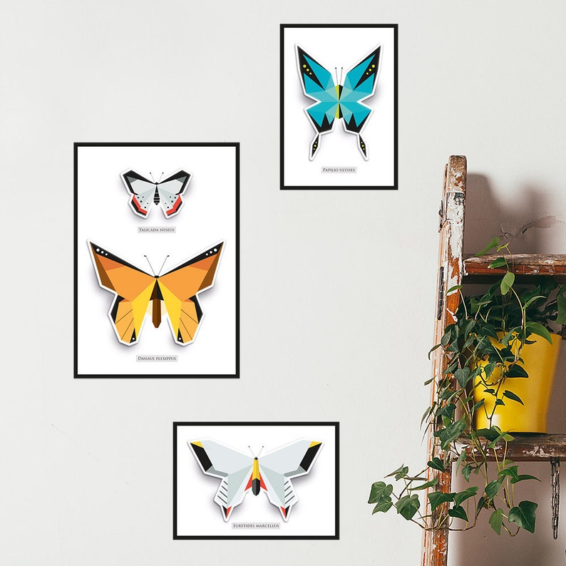 Butterfly Box Frame Pop up Card Set Etsy